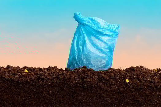 A blue plastic bag is sitting on top of dirt photo