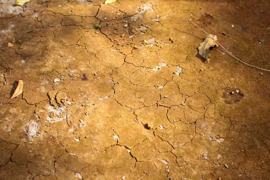 close up of dry cracked earth surface showing arid soil texture under bright sunlight photo
