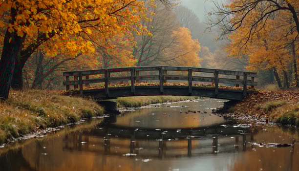 A bridge over a stream in the fall photo