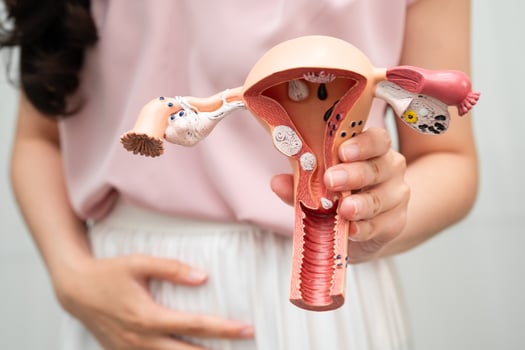 Uterus, Asian woman holding human anatomy photo