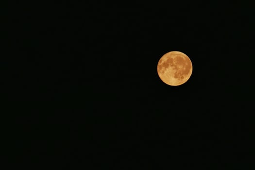 Full moon in a black night sky close up. photo