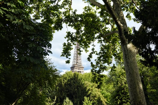Eiffel Tower view through green trees in summer, Paris, France photo