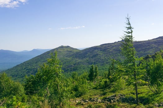 summer mountain landscape with green forest and blue sky. Urals, Russia photo