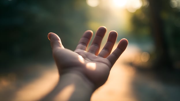 Open hand reaching for sunlight in peaceful nature setting photo