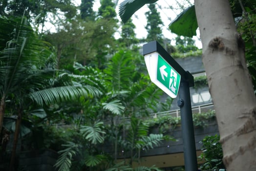 Exit sign within lush tropical foliage in urban area photo
