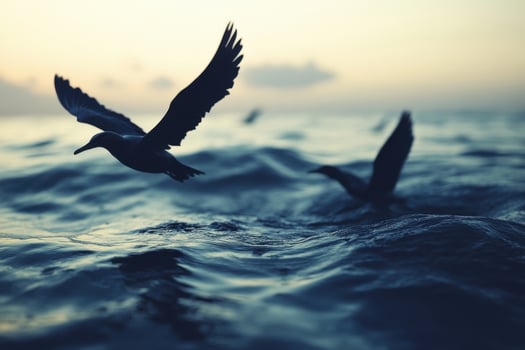 Birds flying over the ocean at sunset photo