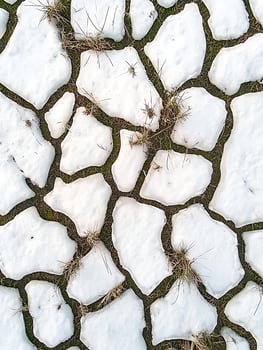 Snow patches melting on green grass showing a glimpse of spring. photo