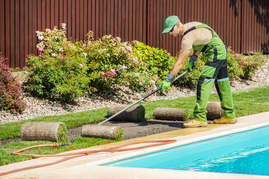 Gardener Installing Sod Near Pool While Enhancing a Vibrant Backyard Landscape photo