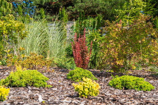 Vibrant Garden Landscape With Colorful Shrubs and Lush Greenery in Summer photo