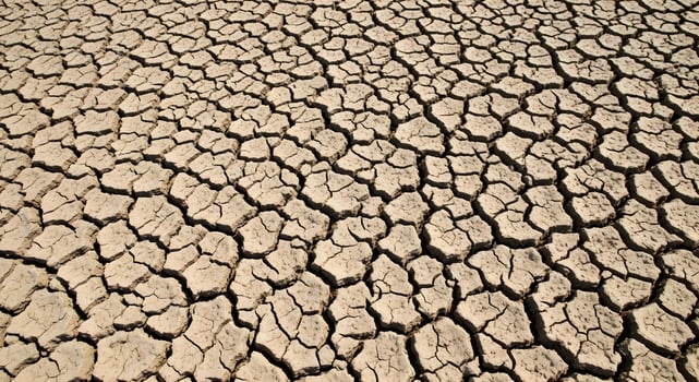 Cracked dry earth surface forming geometric natural patterns in an abstract macro background, captured in natural desert lighting with noise-free, crisp detail and no people photo