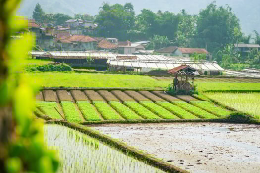 A picturesque view of traditional houses nestled in a green valley with rice paddies and a farmer's hut photo