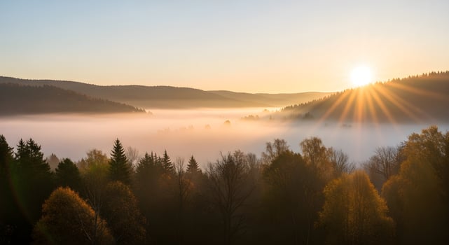 Minimalist sunrise over misty autumn valley with warm light glow, ultra-detailed, crisp edges, noise-free, natural lighting, seasonal morning beauty photo