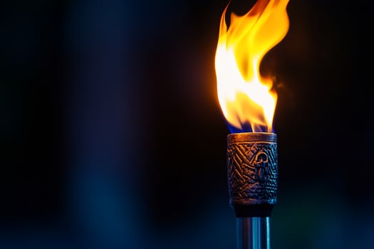 Flaming torch night garden dark background event lighting photo