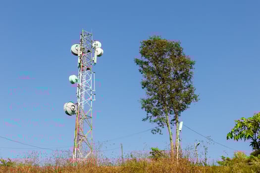 Cellular tower and tree against the blue sky photo