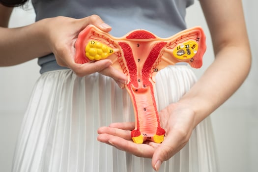 Uterus, Asian woman human photo