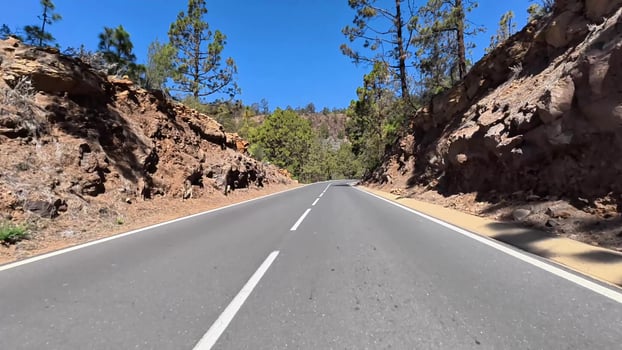 A picturesque view of a winding road surrounded by tall pine trees and rocky cliffs under a clear blue sky. photo