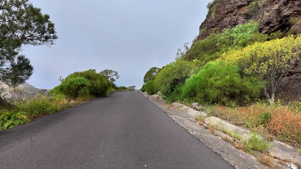 A beautiful and serene view of a lovely winding mountain road that is lined with lush greenery and steep rocky cliffs photo