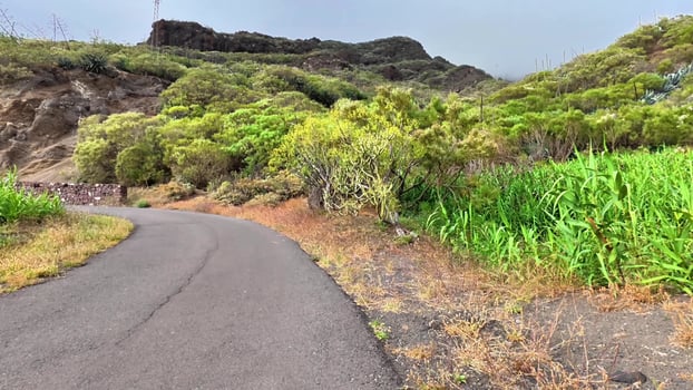A breathtaking scenic view showcases a curving road that winds through lush green vegetation and rocky hills photo