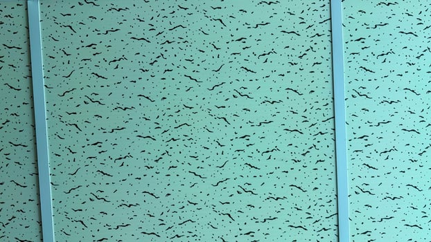 Light green wall paneling shows repeating black irregular shapes with dividing rails, high resolution photo