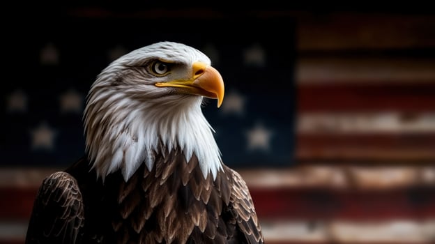 Majestic Bald Eagle before American Flag photo