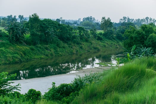 A green natural view photo