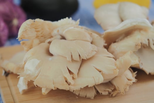 Fresh oyster mushrooms on a wooden cutting board photo