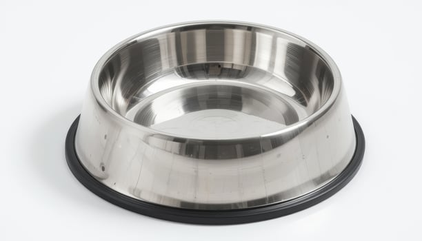 Stainless steel pet dish with a rubber lip, empty and clean, on a neutral background. photo