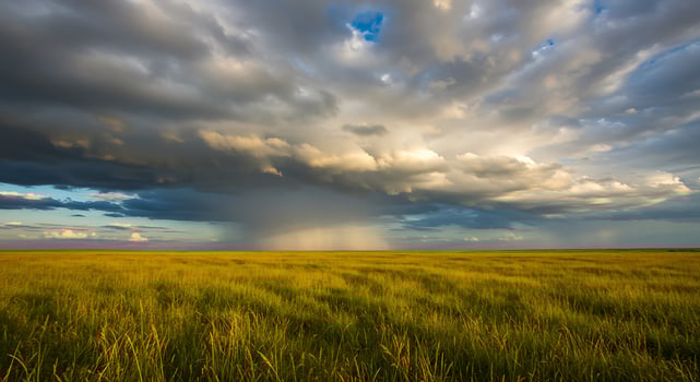 Open Field Under Dramatic Cloudy Sky with Rain Shower in the Distance photo