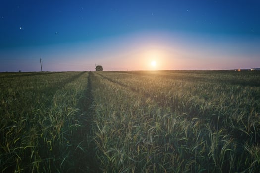 Landscape with a wheat field under moonlight, scenic sunset creating a breathtaking view for travel blogs, inspirational posters, and calm nature backgrounds. Vintage film. photo