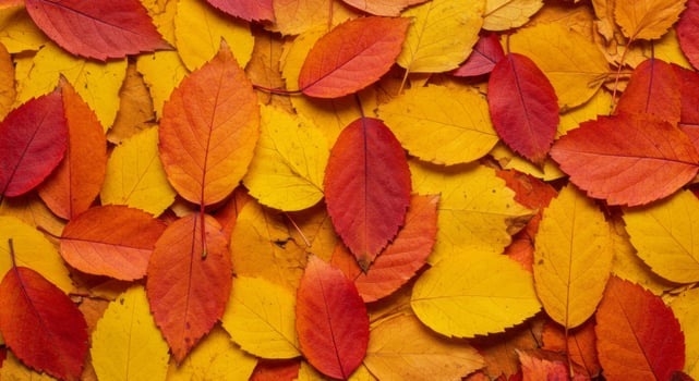 Vibrant Autumnal Mosaic A Rich Tapestry of Red, Orange, and Yellow Fallen Leaves photo