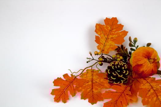 Orange maple leaves, pumpkin and pine cone on white background. Space for text photo