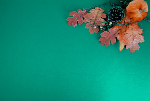 Close up of autumn maple leaves and decorative elements in the corner. photo