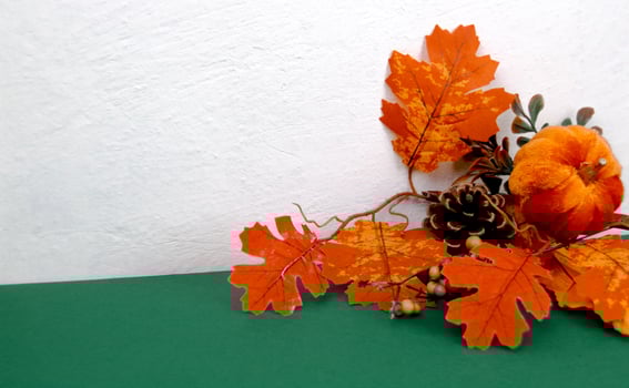 Autumn leaves and pumpkin on green and white background photo