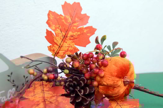 Close-up of red berries in an autumn composition photo
