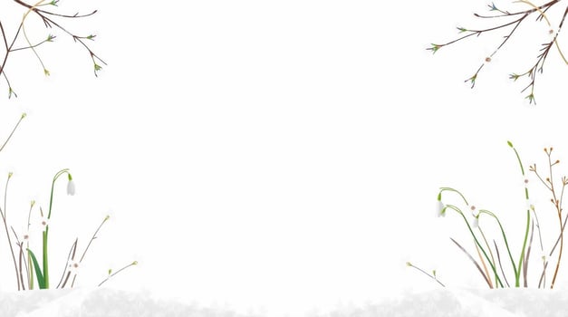 Winter frame with snowdrops and grasses on a white background photo