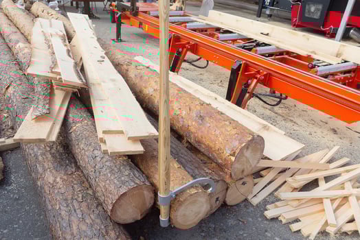 Logs and boards on a sawmill photo