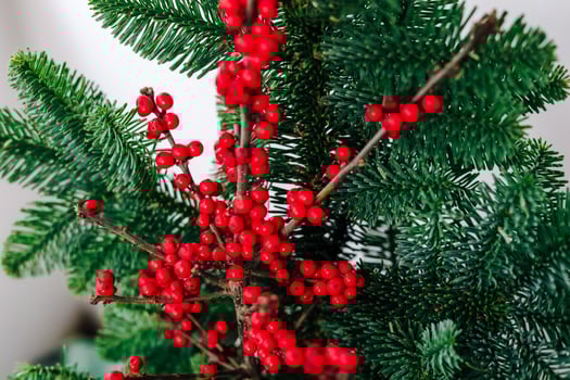 Bright red berries on evergreen branches create a festive winter decoration photo