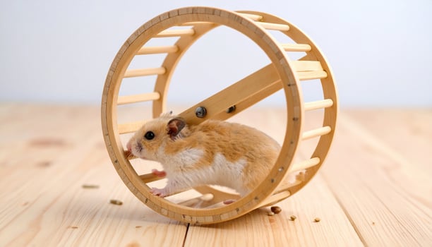 Small hamster runs energetically on wooden exercise wheel, showcasing its playful nature. scene captures joy of pet ownership and importance of providing pets with engaging activities photo