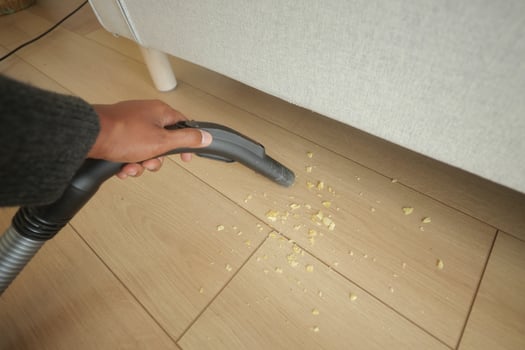 Vacuuming crumbs from under the sofa in a living room photo