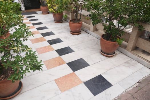 Elegant garden pathway with potted plants and tiled design photo