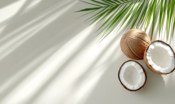 Coconut still life with palm leaf and natural sunlight photo