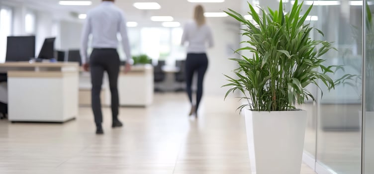 Office space with potted plant and blurred people walking in background photo