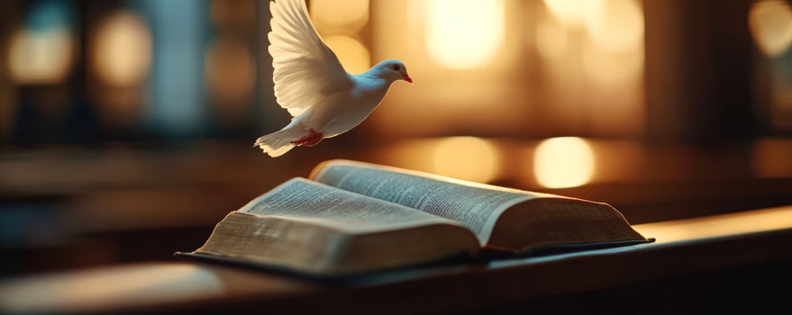Dove flying over Bible, church, faith, hope photo