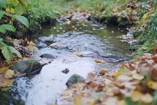 Tranquil stream flowing through autumn woodland landscape photo