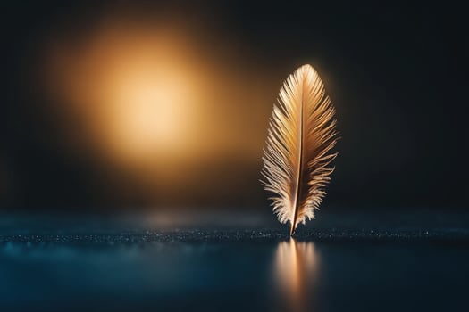 Golden feather sunset dark surface reflection hope photo