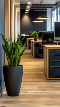 Modern office plant, interior design, workspace, wood floor, lighting photo