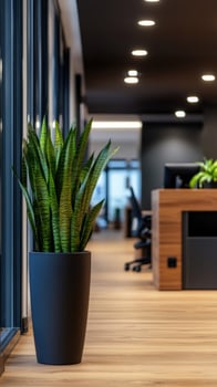Office plant, modern hallway, desks blurred, interior design photo