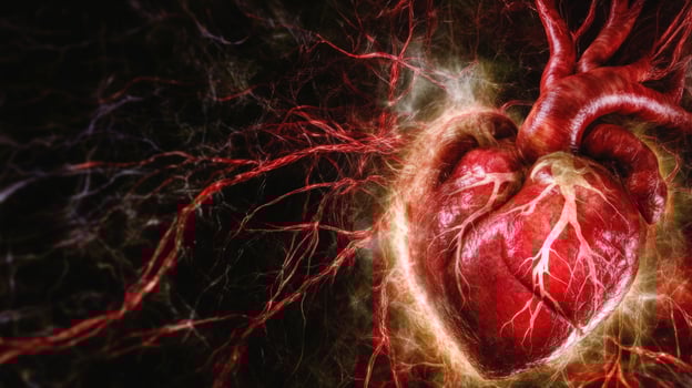 Glowing human heart, vascular system, dark background, medical illustration photo