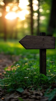 Wooden signpost, forest path, sunset, direction, nature guide photo