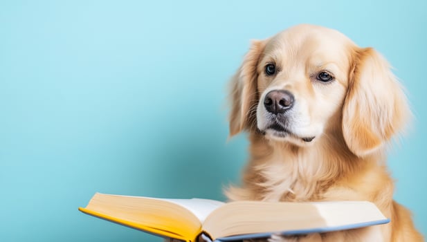 Dog reading book on light blue background photo